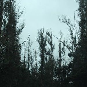 Meet your Posher, Sarvetha